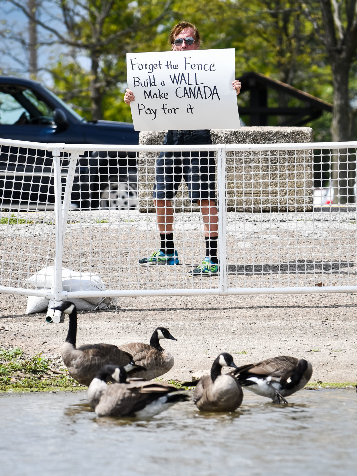 Goose protest